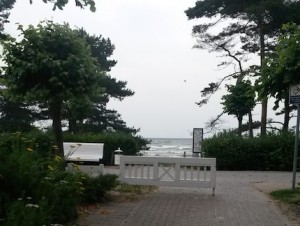 Im Hintergrund sieht man das Meer, das ich vom Balkon aus sehen kann. Es handelt sich dabei um die Ostsee vor Binz auf Rügen.